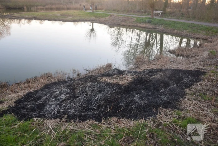 Opnieuw riet in brand gestoken bij Kaaskenswater