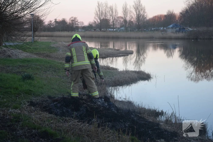 Opnieuw riet in brand gestoken bij Kaaskenswater