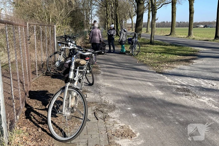 Wielrenners botsen op fietster en gaan ervandoor