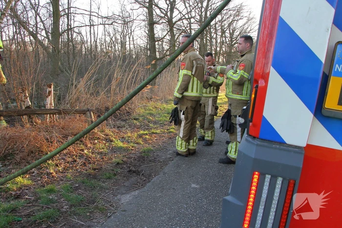 Brand in natuurgebied