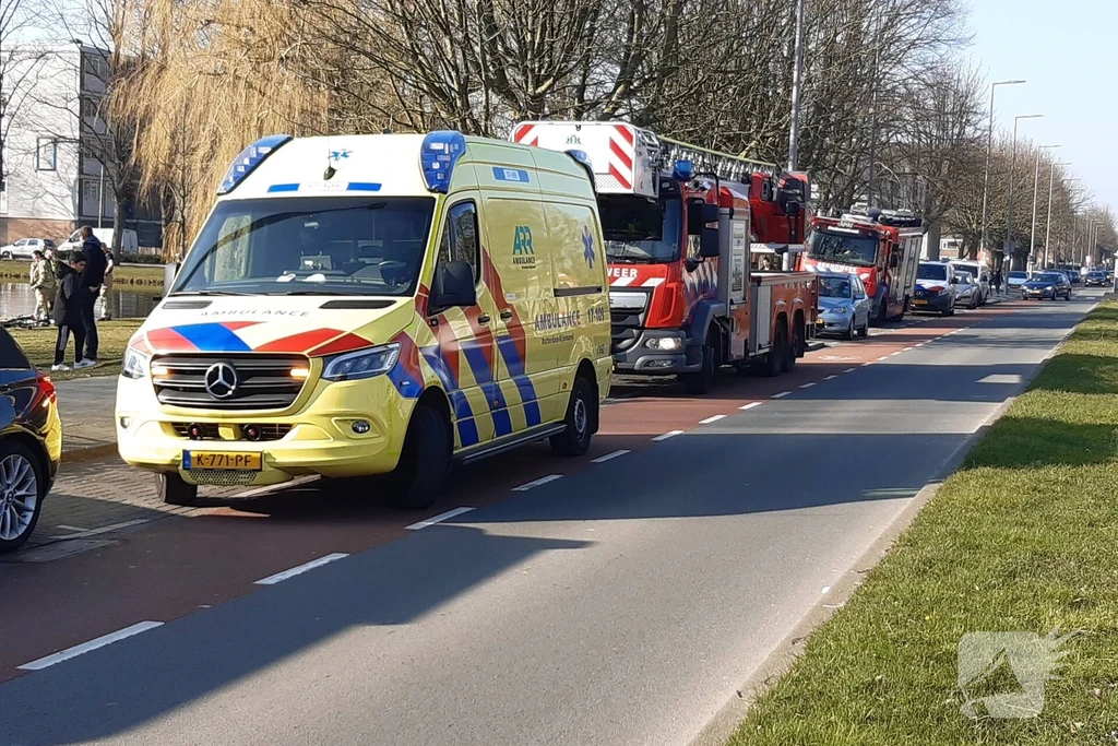 Wilgenplaslaan Nieuws Rotterdam 