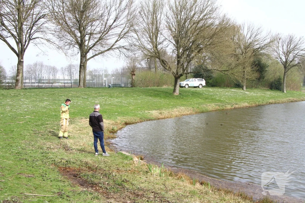 Graswinkellaan Nieuws Weert 