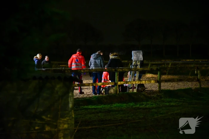Ruiter gewond na val van paard