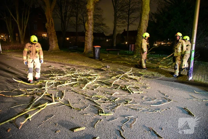 natuur f. van der poest clementlaan poortugaal