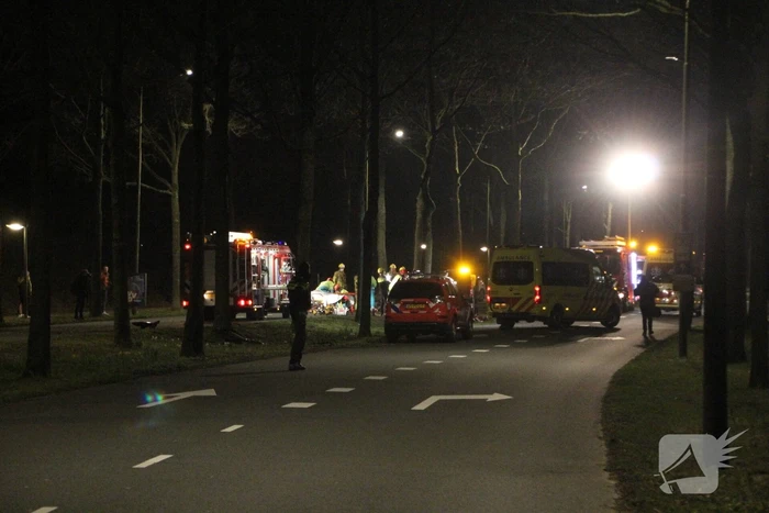 Bestuurder zwaargewond bij botsing met boom