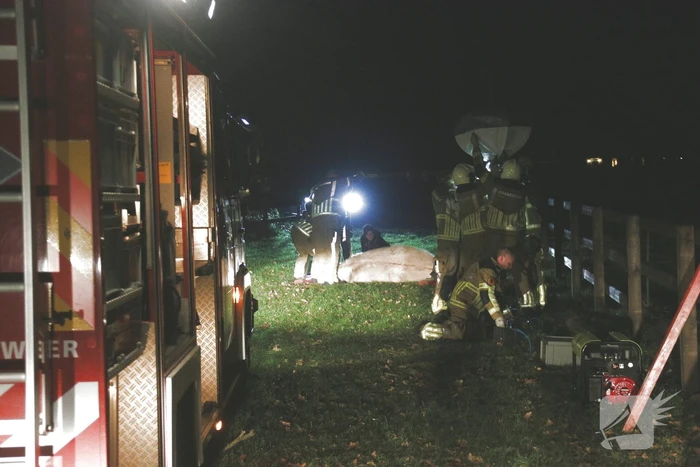 Brandweer helpt paard omhoog
