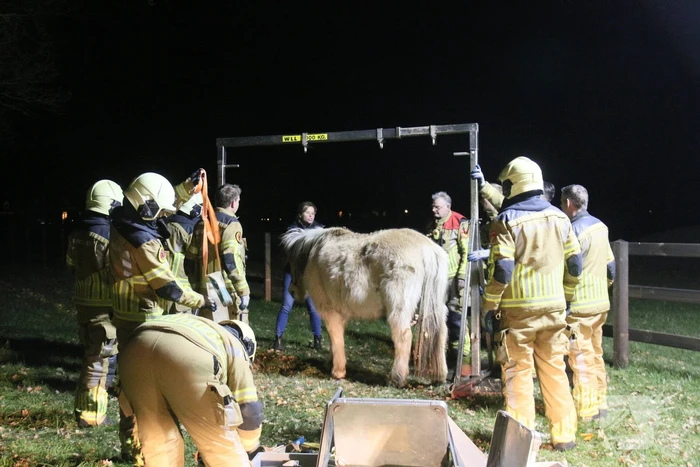 Brandweer helpt paard omhoog