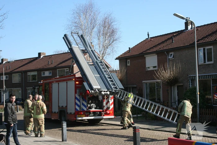Brandweer haalt kat uit boom