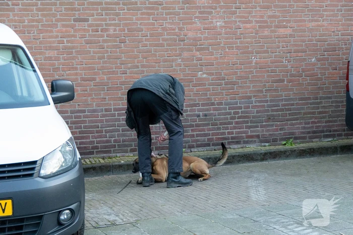 Bestelbus beschoten vanuit rijdende auto