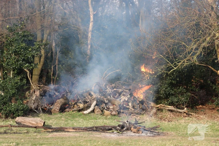 Veel rook bij brand in bosschage