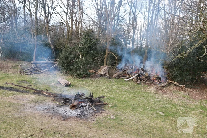 Veel rook bij brand in bosschage