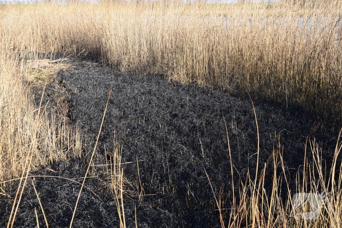 Opnieuw brandstichting bij Kaaskenswater