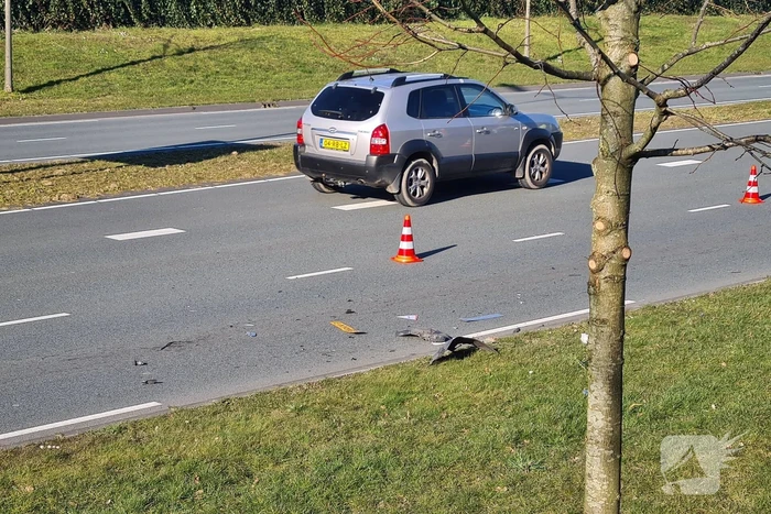 Kop-staart botsing zorgt voor veel schade