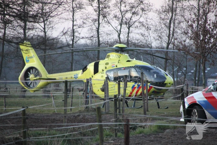 Persoon ernstig gewond na trap van paard