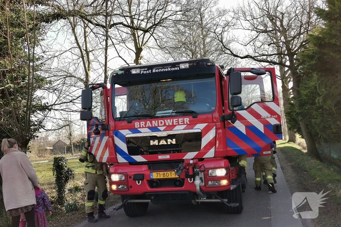 Vermiste kat Simba uit de boom gezaagd