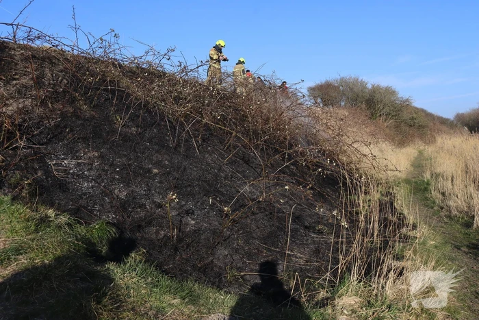 brand nieuweweg den helder