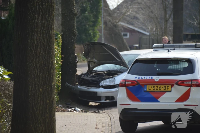 Auto botst frontaal op boom