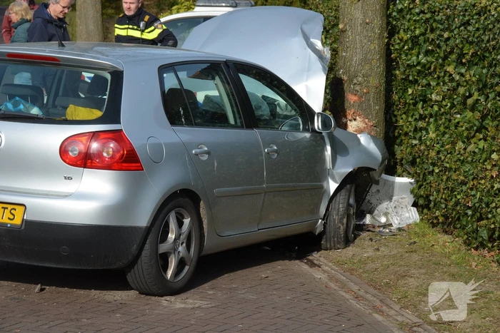 Auto botst frontaal op boom