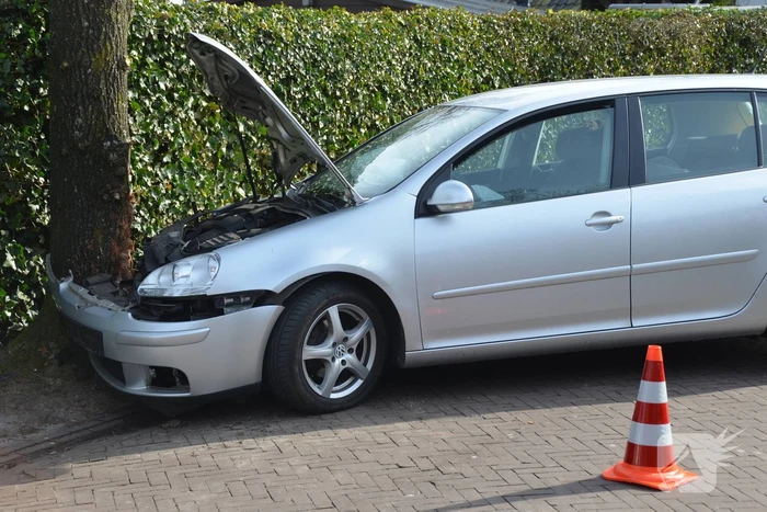 Auto botst frontaal op boom