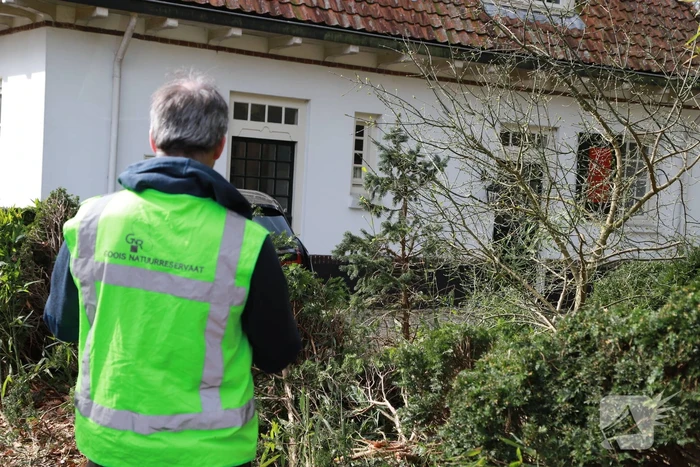 Auto crasht tegen woning