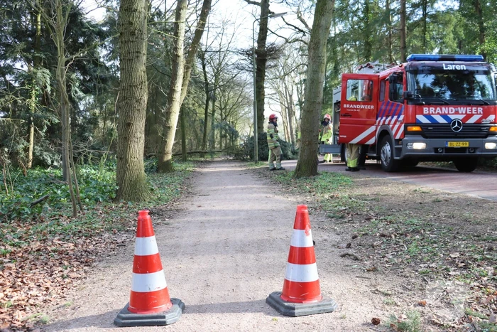 Boom zorgt voor gevaarlijke situatie op fietspad