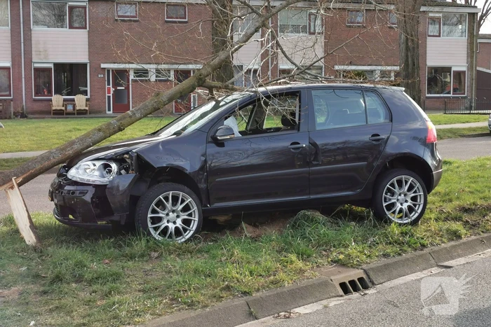 Auto botst tegen boom, inzittende slaat op de vlucht