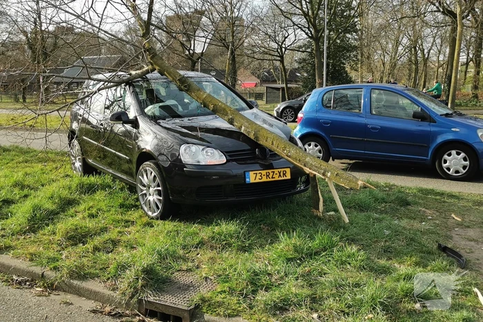 Auto botst tegen boom, inzittende slaat op de vlucht