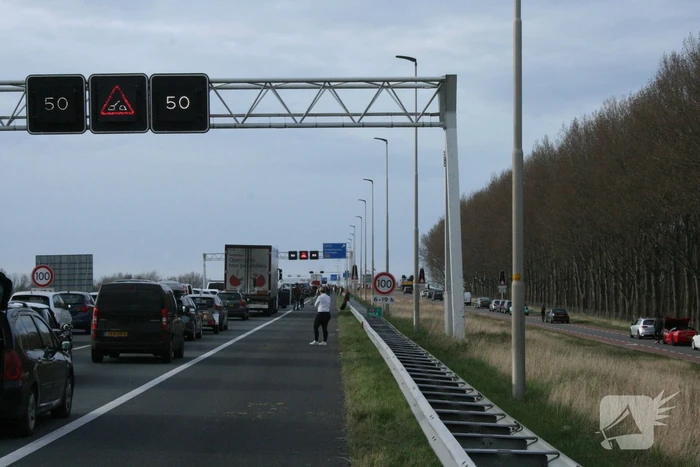 Flinke file door storing in brug