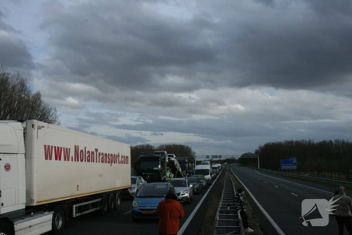 Flinke file door storing in brug