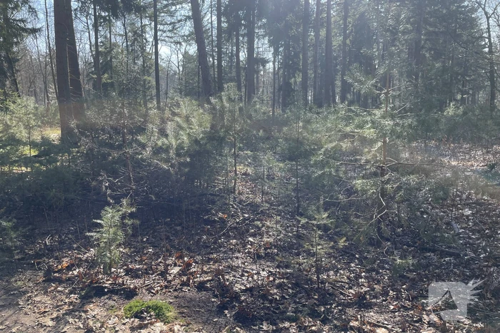 Brandweer blust brand in natuurgebied