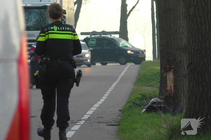 Auto in de kreukels na botsing tegen boom