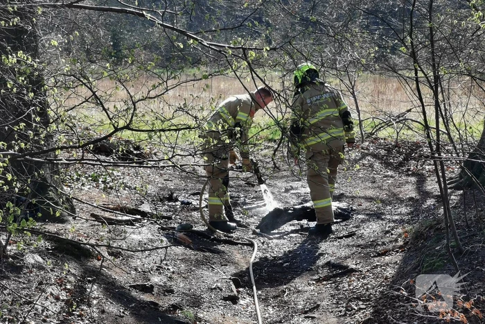 Brand in bosschage snel geblust
