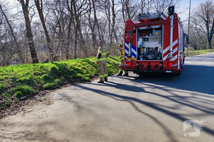 Brand in bosschage snel geblust