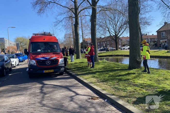 Persoon aangehouden na te water raken met auto