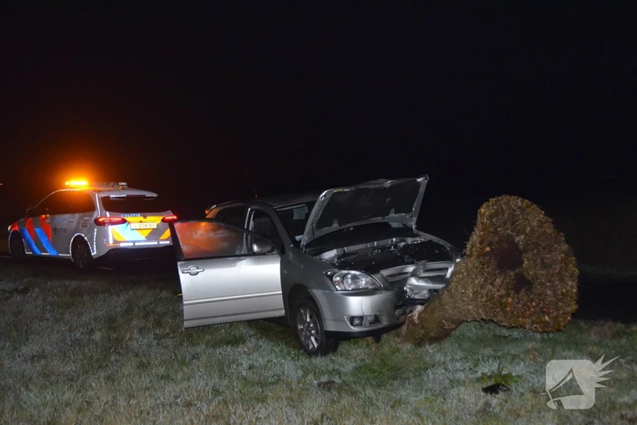 Flinke schade aan auto door botsing tegen boom