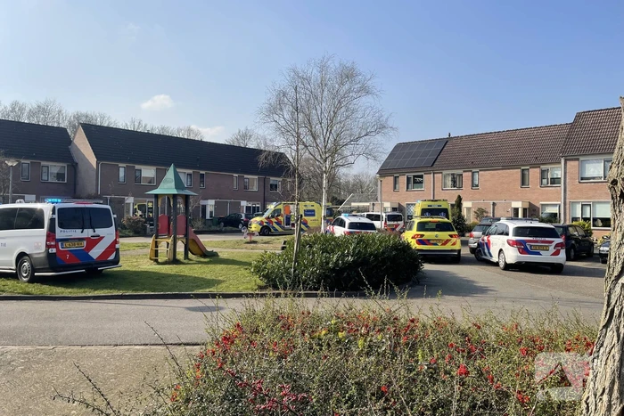 nieuws mossinkserf holten