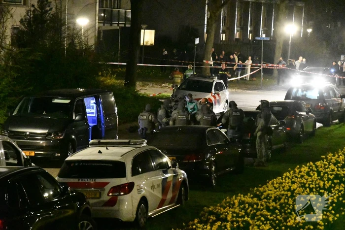 nieuws hoek van het ij lelystad