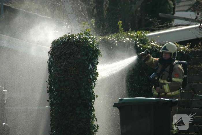 Onkruidbrander zet heg in brand
