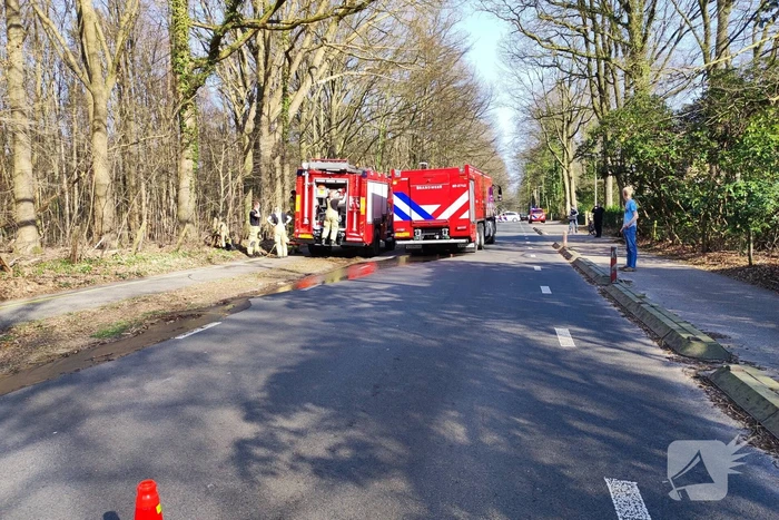 Brand in droog bosgebied