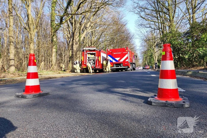 Brand in droog bosgebied