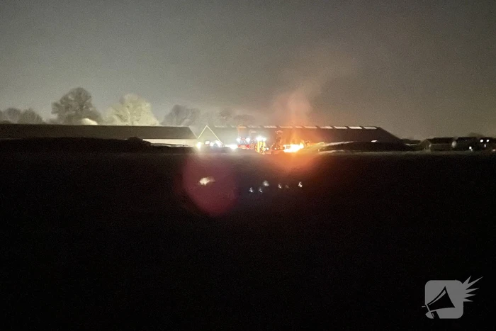 Brandweer blust brand naast stal