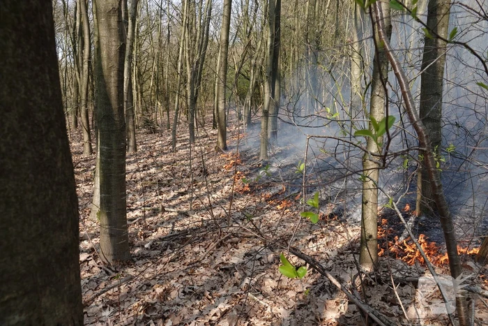 Bosbrand zorgt voor veel rook