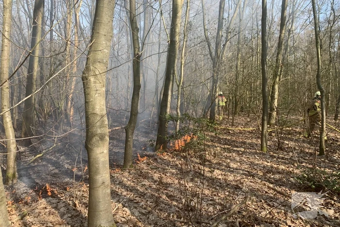 Bosbrand zorgt voor veel rook
