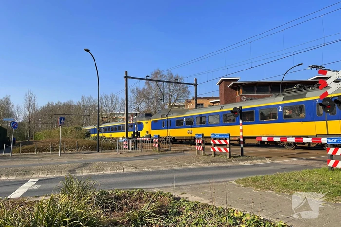 nieuws gentiaan borne