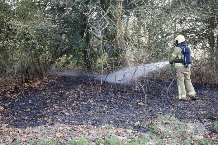 Flinke rookontwikkeling vanwege brand in grashoop