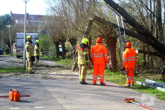 natuur oranjestraat alblasserdam
