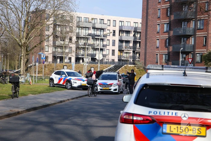 Enorme vechtpartij op middelbare school Het Element