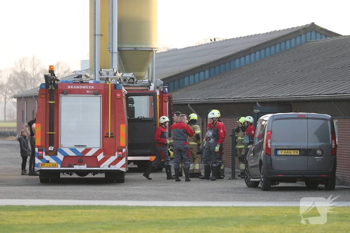 Brandweer haalt varken uit gierput
