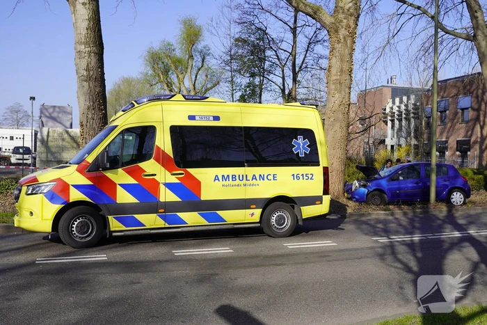 Auto raakt van de weg en botst tegen boom