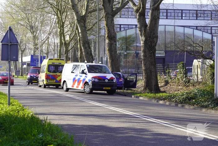 Auto raakt van de weg en botst tegen boom